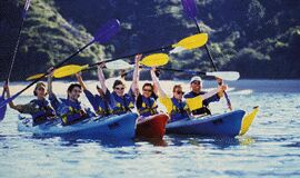 group-paddles_up.jpg (13886 octets)